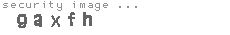 security image