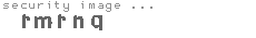 security image