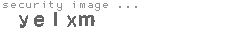 security image